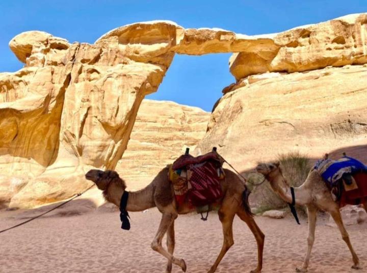 Desert Star Camp Wadi Rum Exterior photo